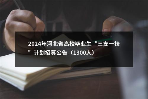2024年河北省高校毕业生“三支一扶”计划招募公告（1300人） 图片