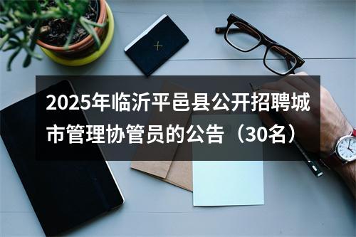 2025年临沂平邑县公开招聘城市管理协管员的公告（30名） 图片