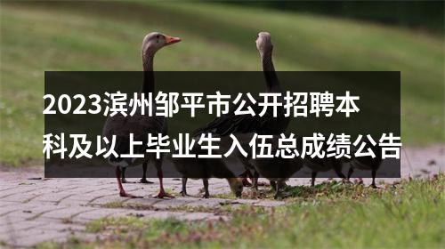 2023滨州邹平市公开招聘本科及以上毕业生入伍总成绩公告 图片