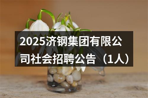 2025济钢集团有限公司社会招聘公告（1人） 图片
